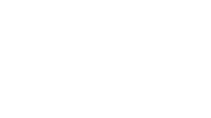 Hozier